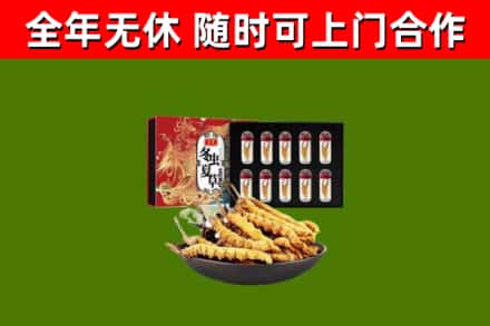 徐州回收冬虫夏草价格